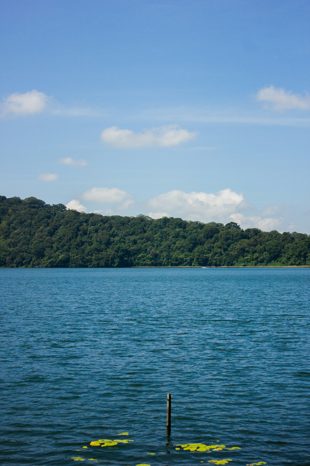 green mountain beside body of water during daytime