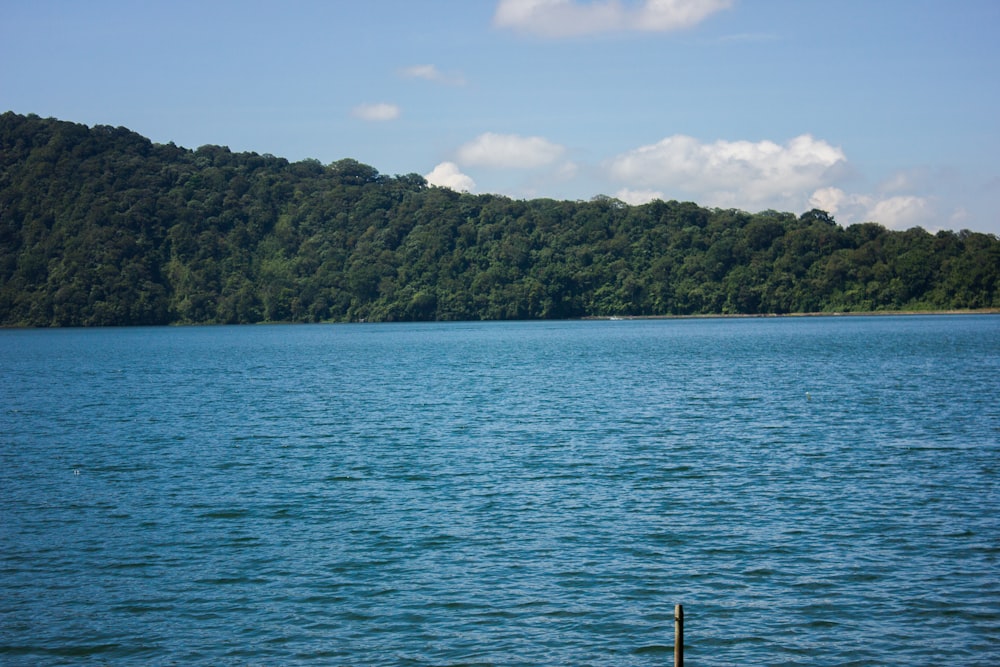 green trees on island during daytime