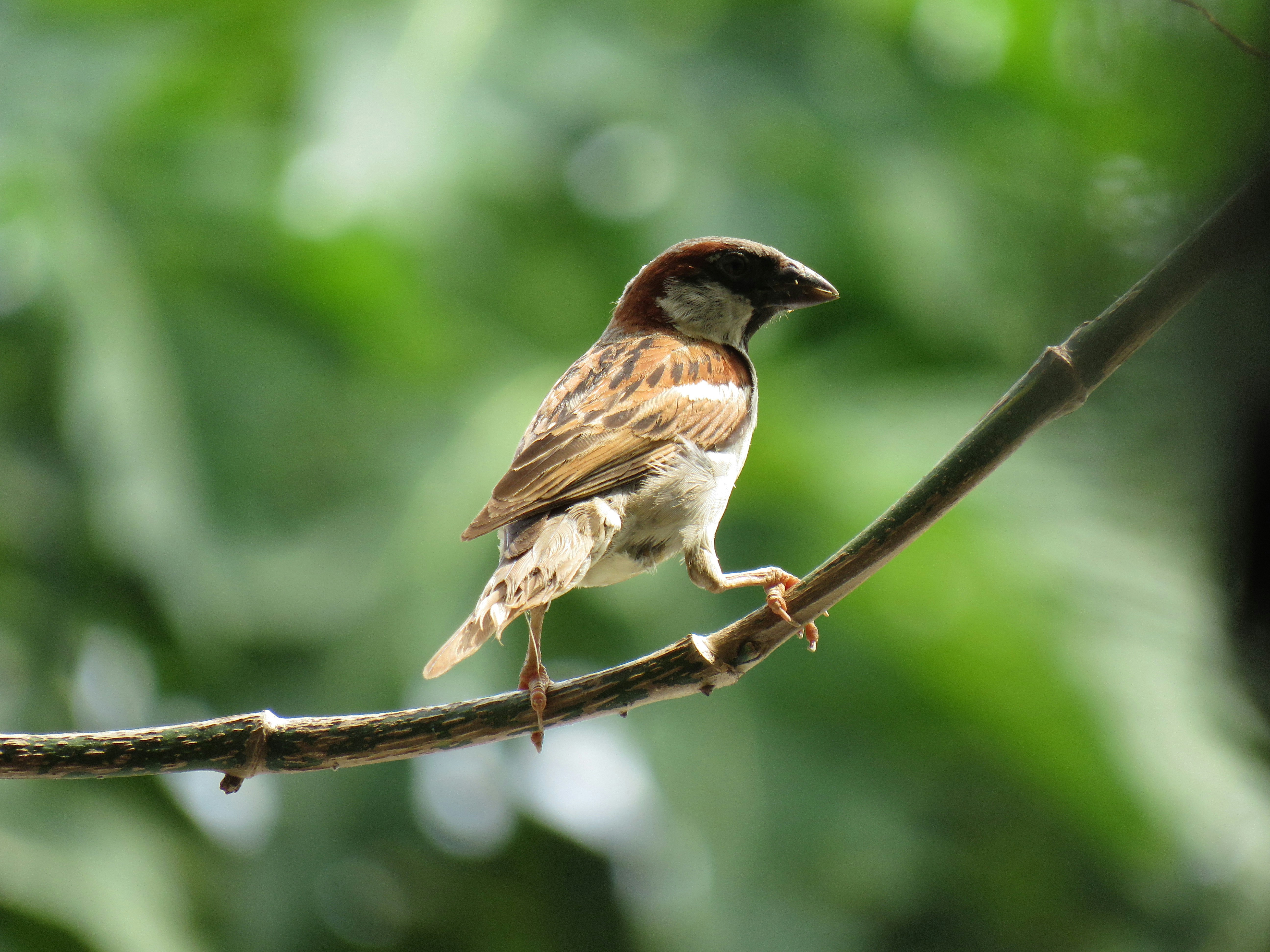 Photo by ____s_umi_t__