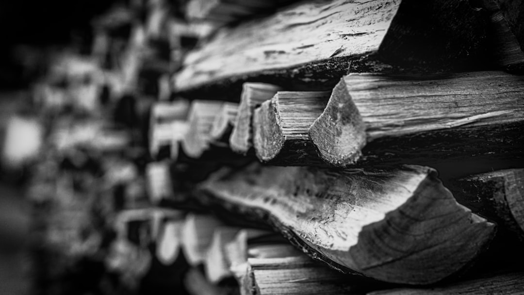 grayscale photo of wood log