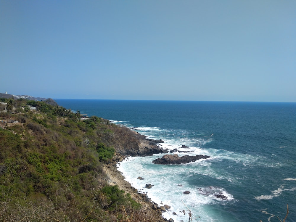 campo di erba verde vicino al mare durante il giorno