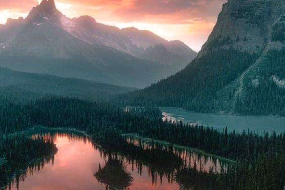 green trees and mountains near lake during daytime