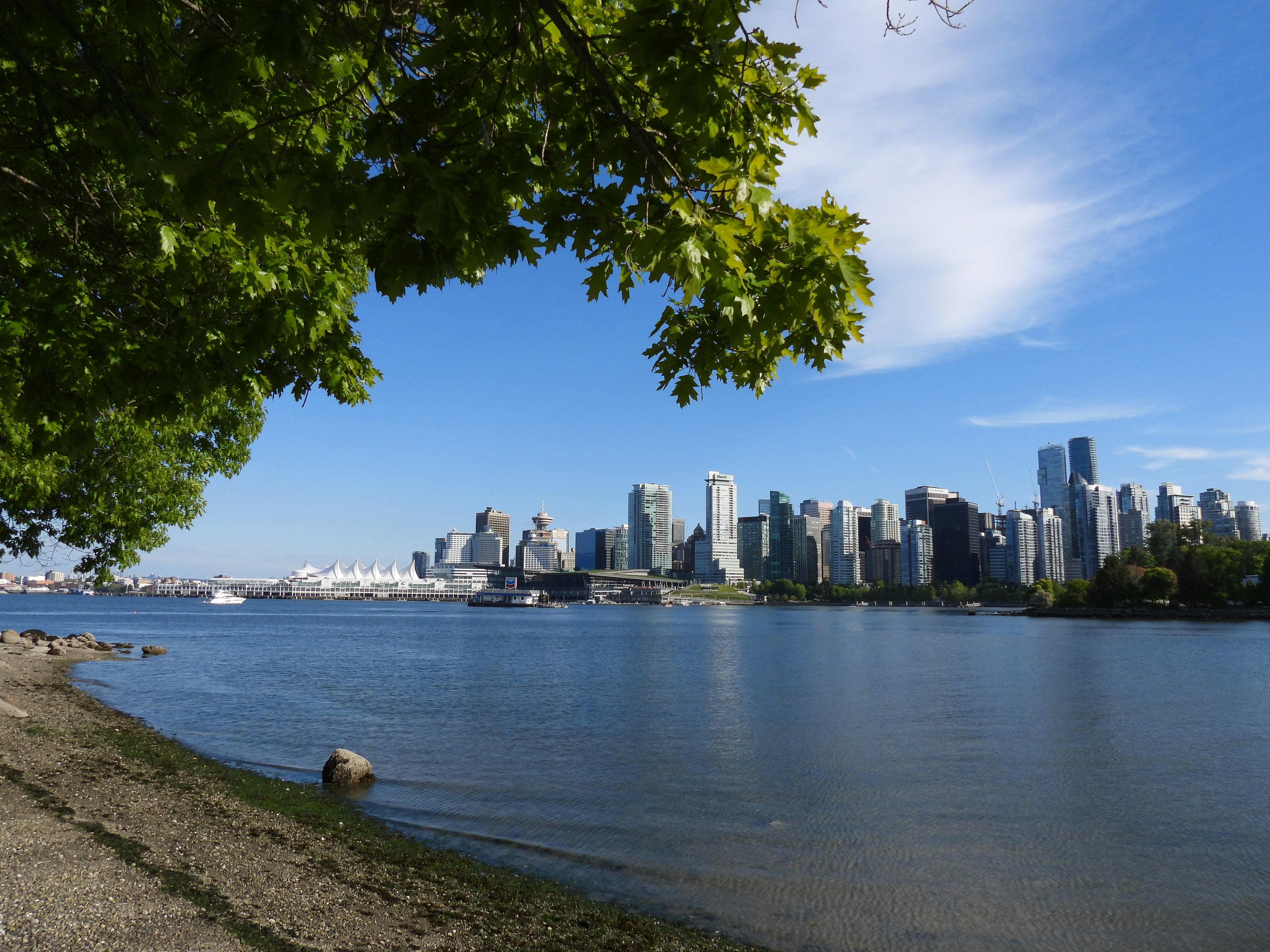 Photo by henriquepaim