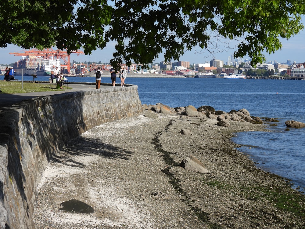 people walking on beach shore during daytime