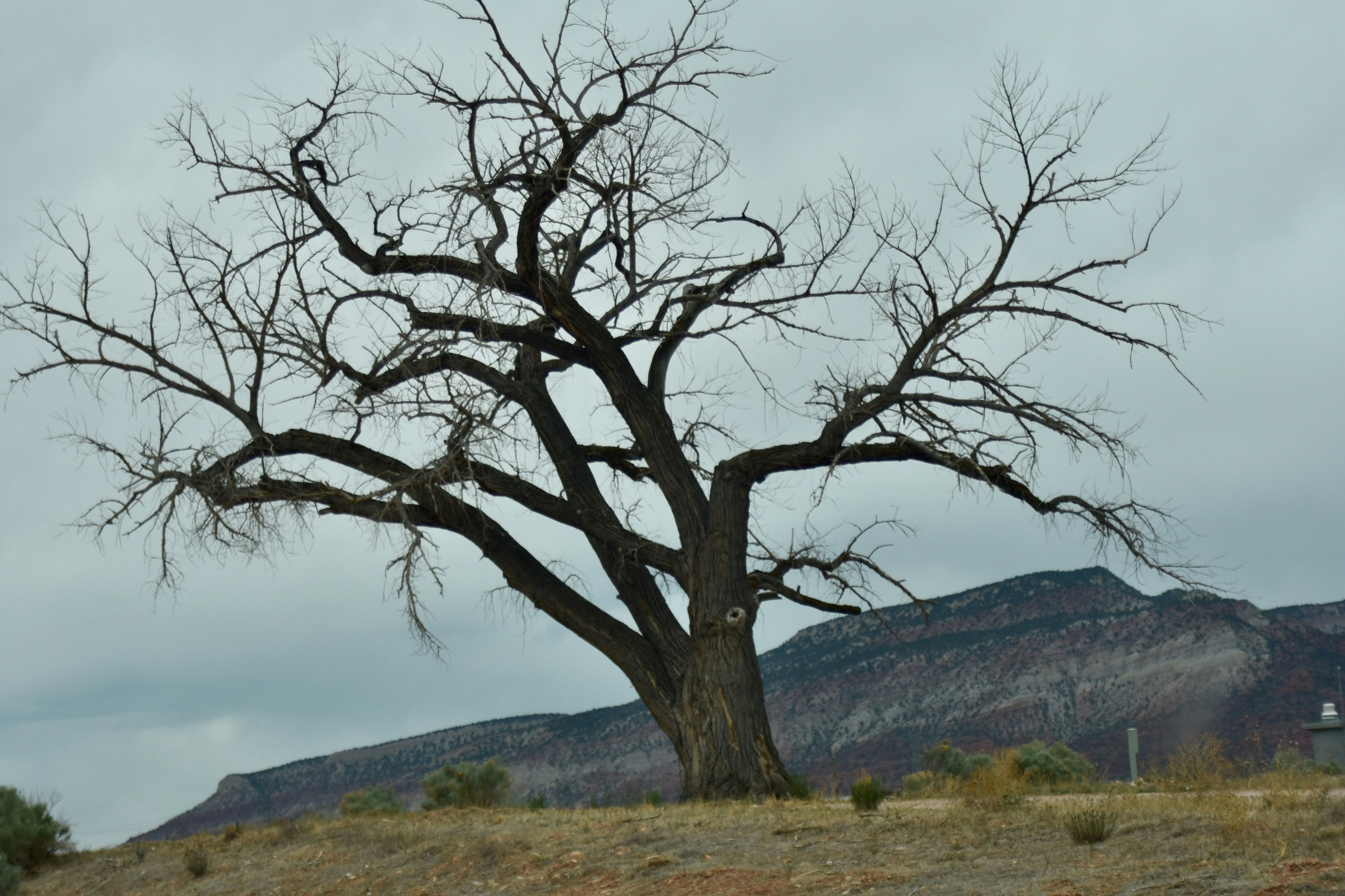 Photo by camielise77