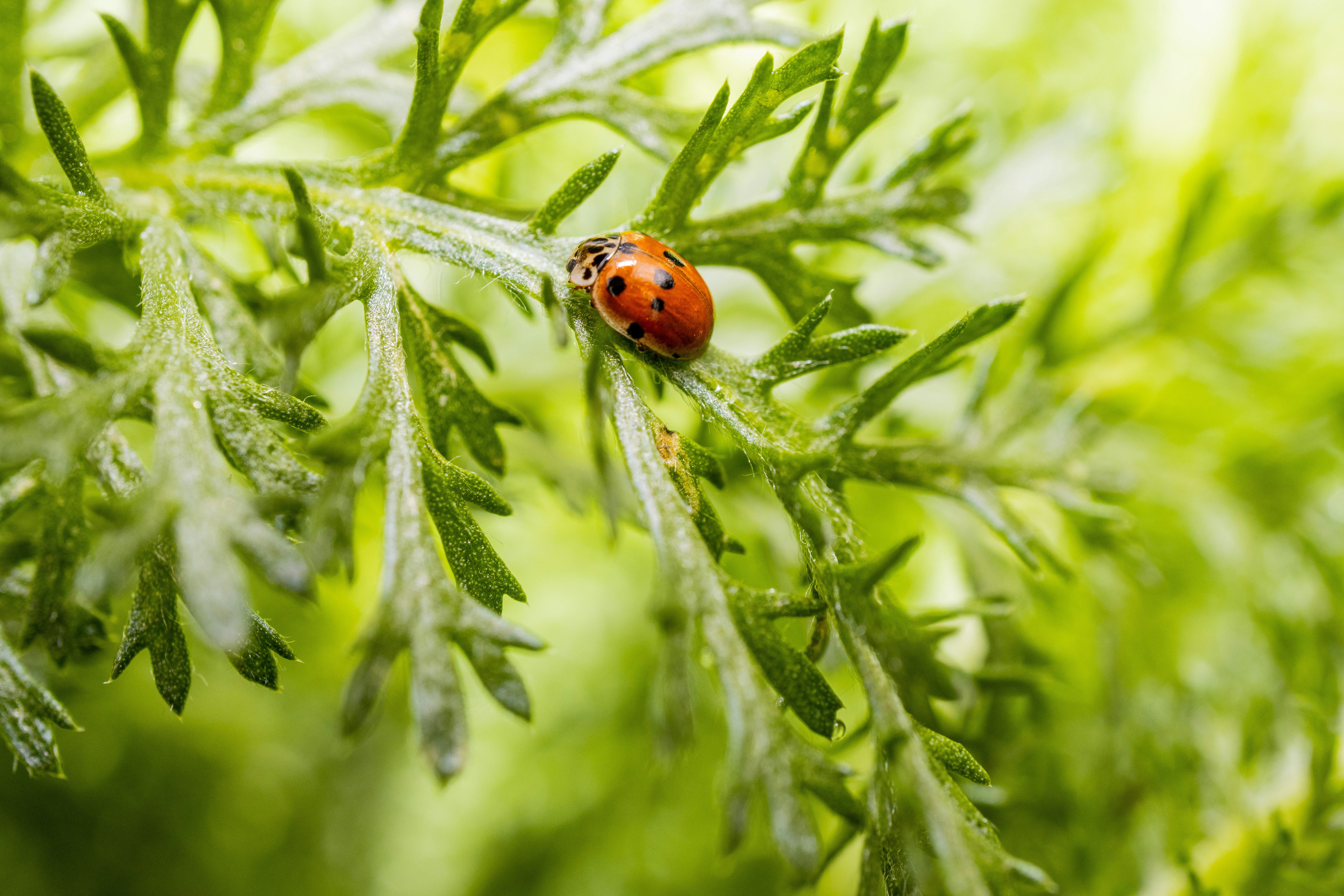 Move CONFIDENTLY With Reliable Awesome Moving Company from Boston MA to Chicago USA