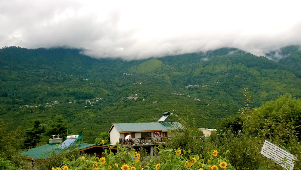 green and white house on green mountain under white clouds during daytime