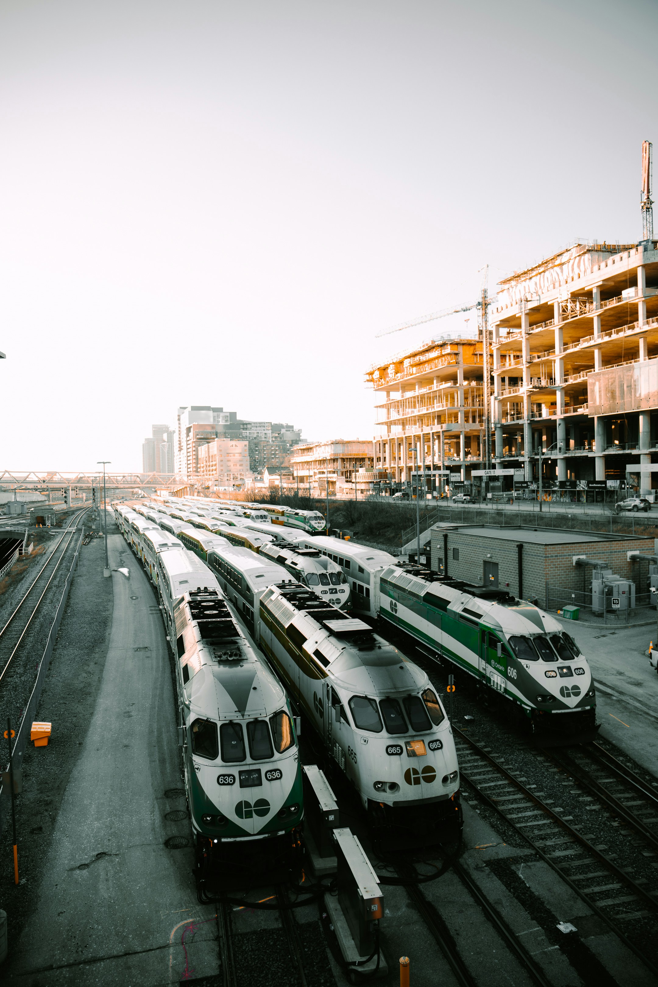Bus blanc et vert sur la route pendant la journée