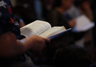 man in black and red shirt reading book