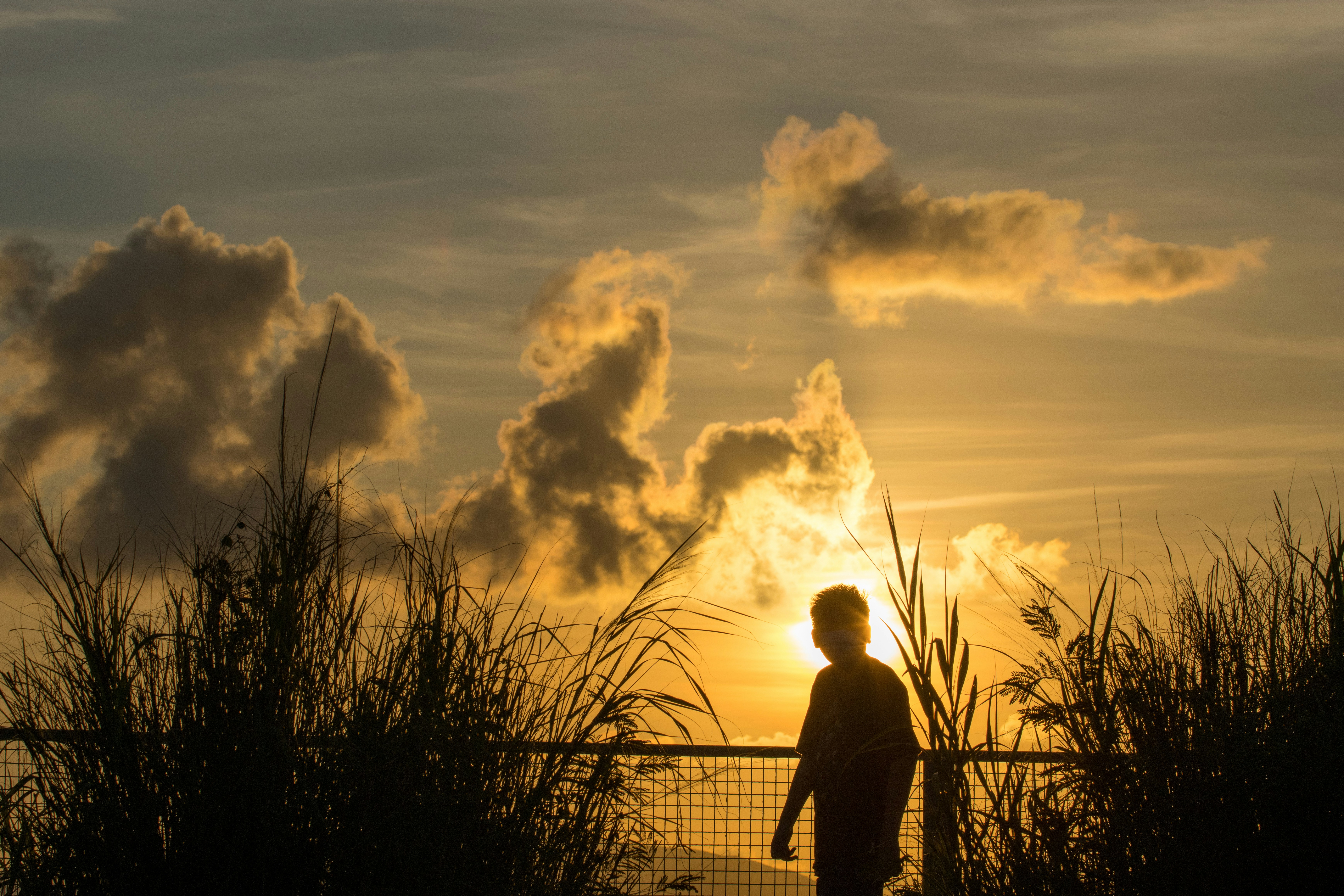 Photo by henrylaiphotography