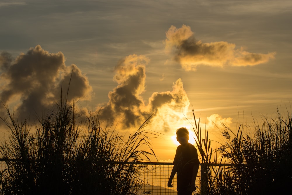 silhouette of man standing on grass field during sunset