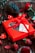 A bright red gift box adorned with a ribbon and a card is surrounded by strawberries, a pine cone, red roses, and heart-shaped candles on a wooden surface.