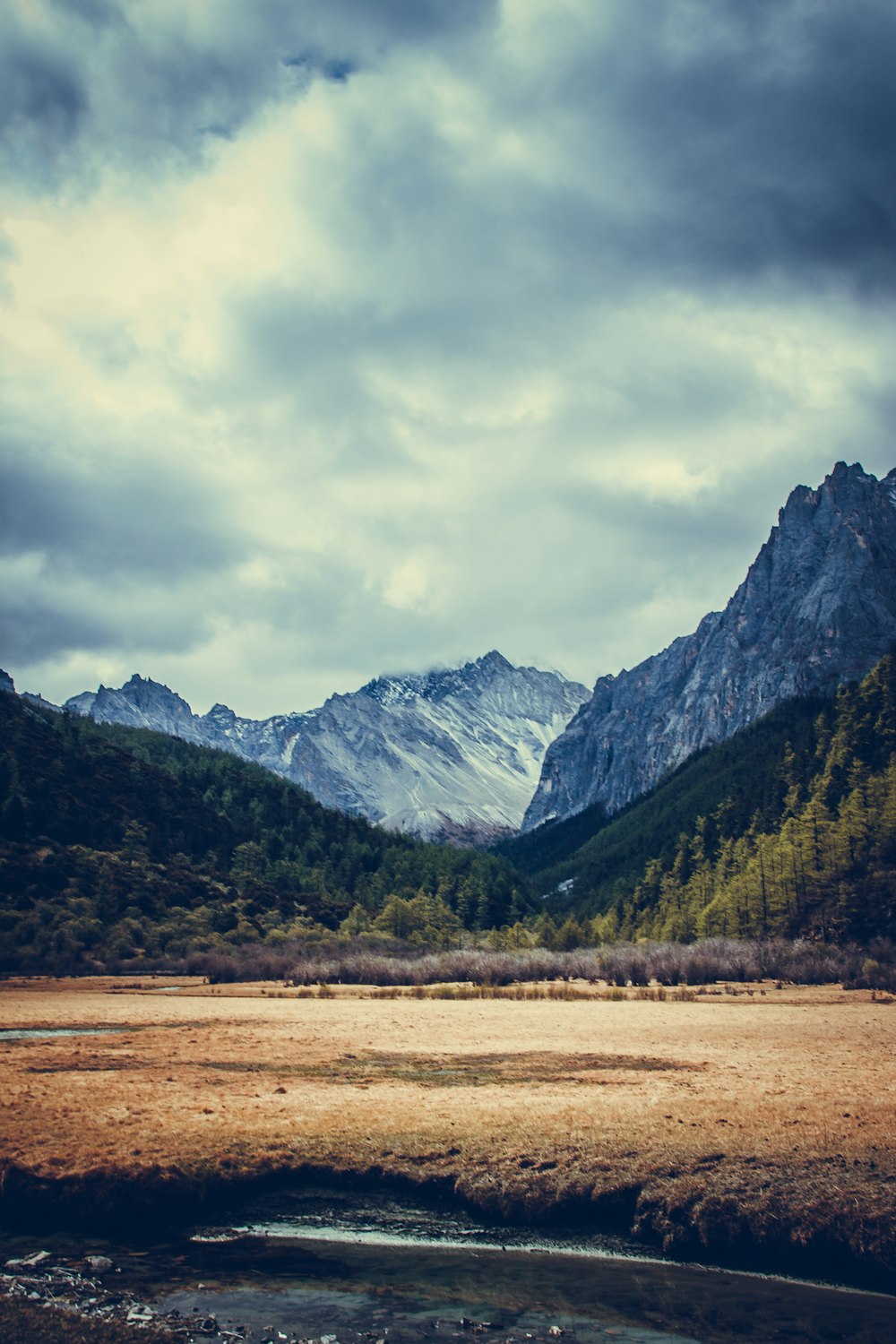 green trees and mountains under white clouds and blue sky during daytime