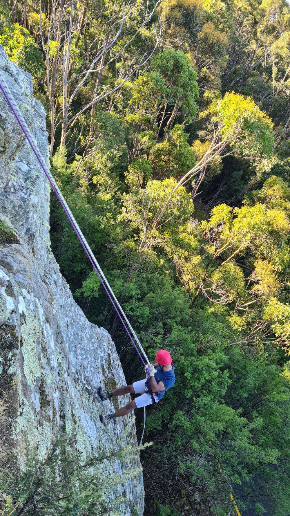 man in red shirt and black shorts climbing on gray rock mountain during daytime