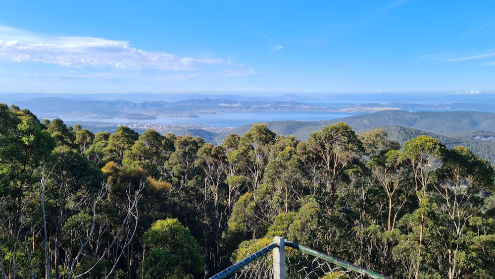 green trees on mountain under blue sky during daytime