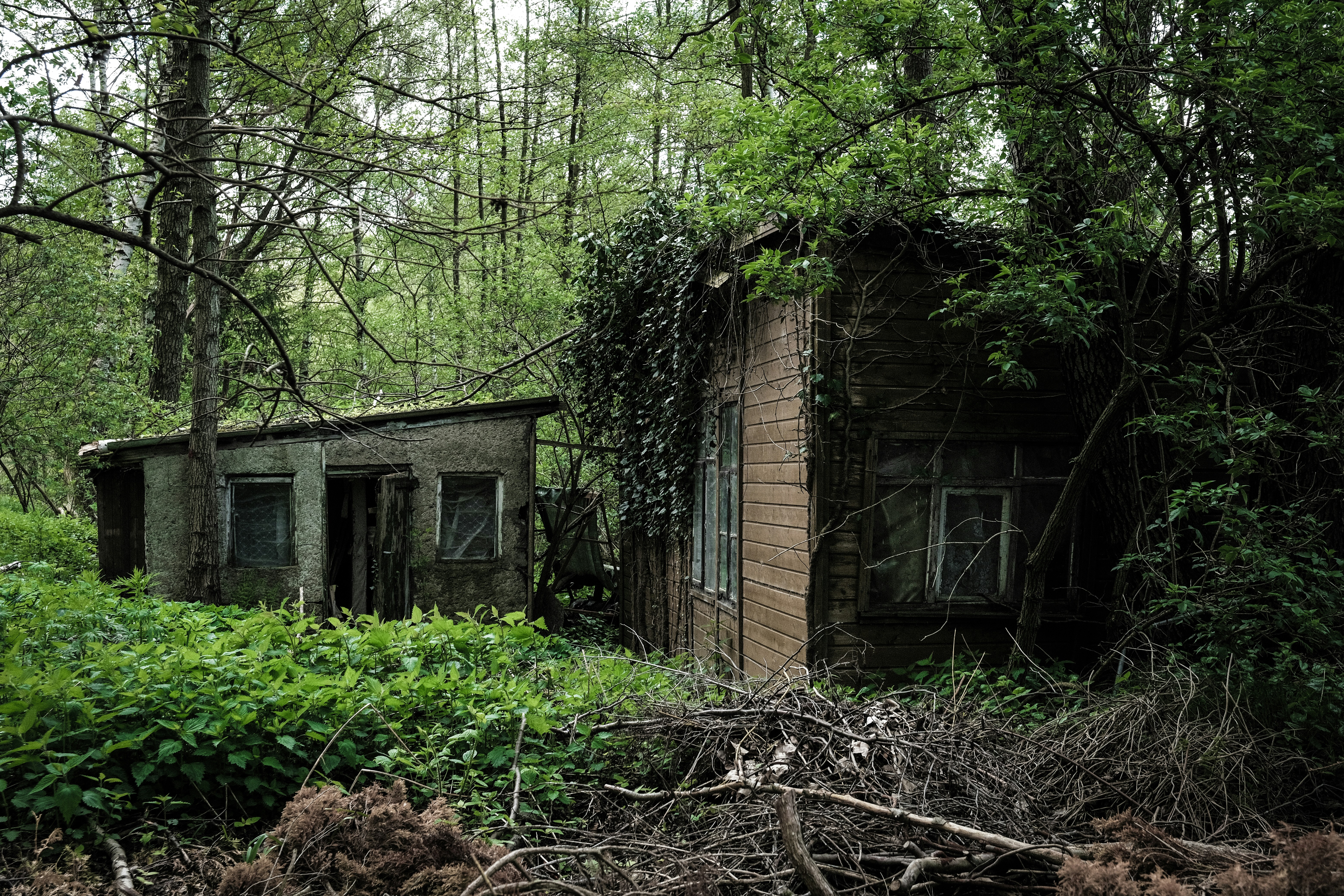 Photo by ignaz_wrobel