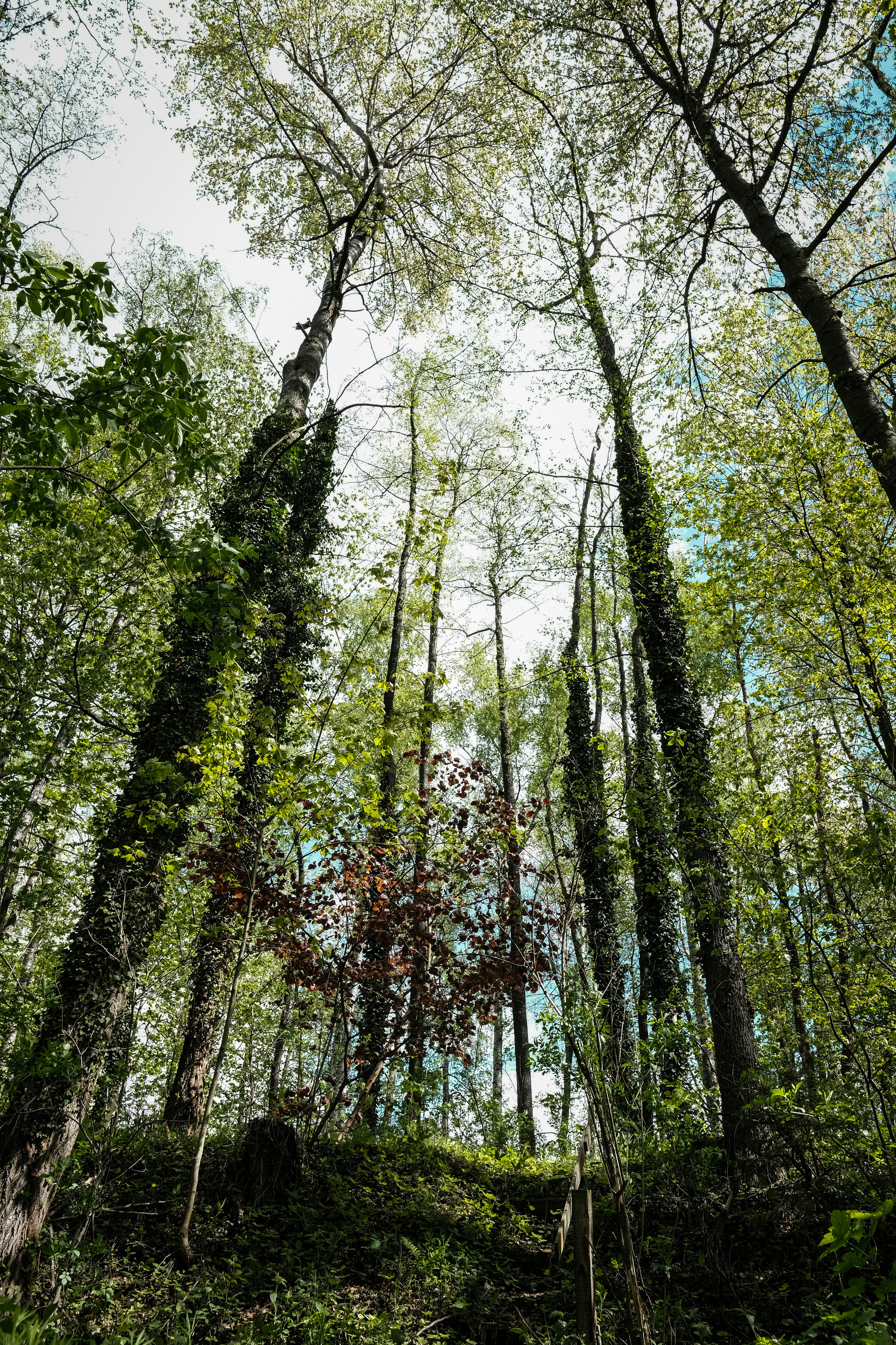 Photo by ignaz_wrobel