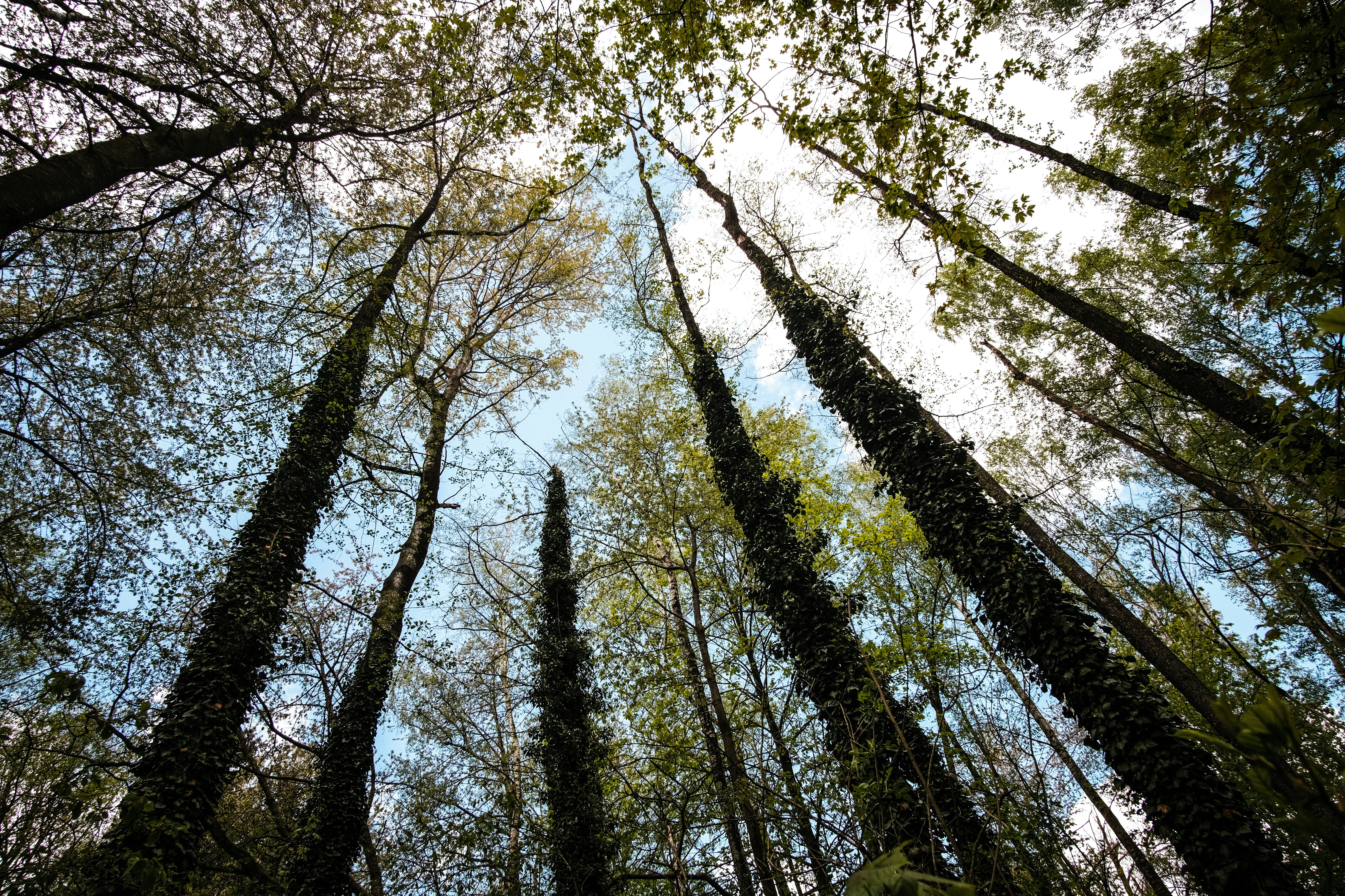 Photo by ignaz_wrobel