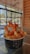 A bowl of crispy fries topped with a creamy sauce and crunchy orange snacks is placed on a glass table. The setting is a modern, well-lit cafe with large glass windows and wooden paneling, offering a view of the outdoors.