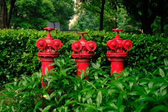 red fire hydrant surrounded by green plants