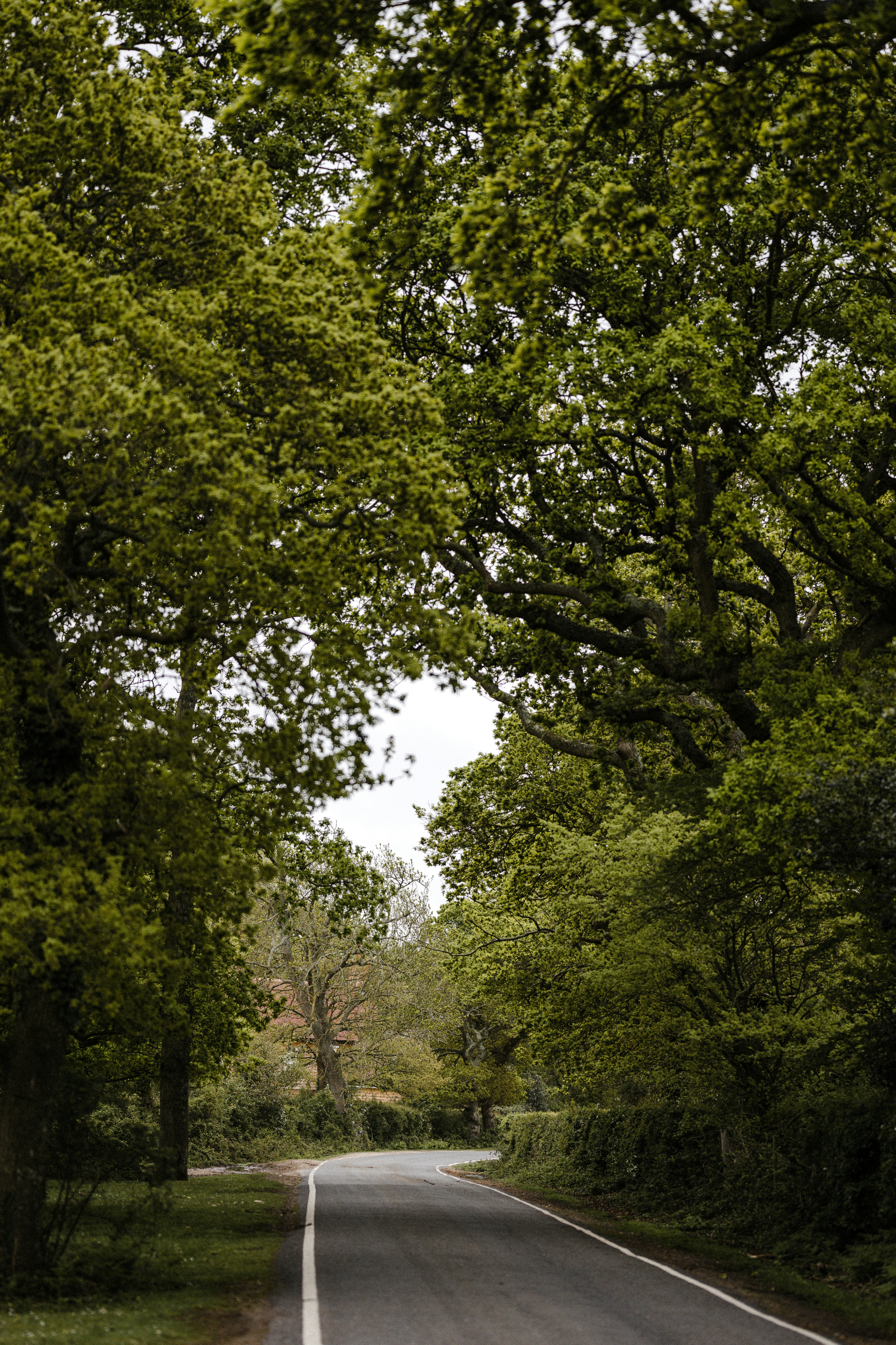 Photo by anniespratt