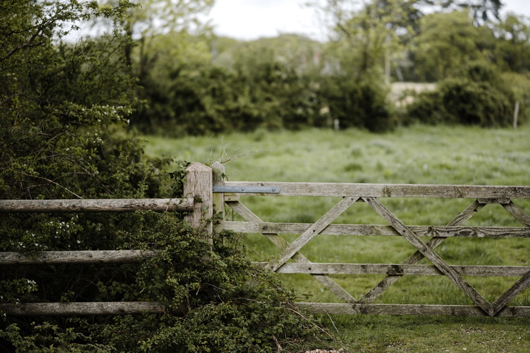 brown wooden fence near green grass during daytime