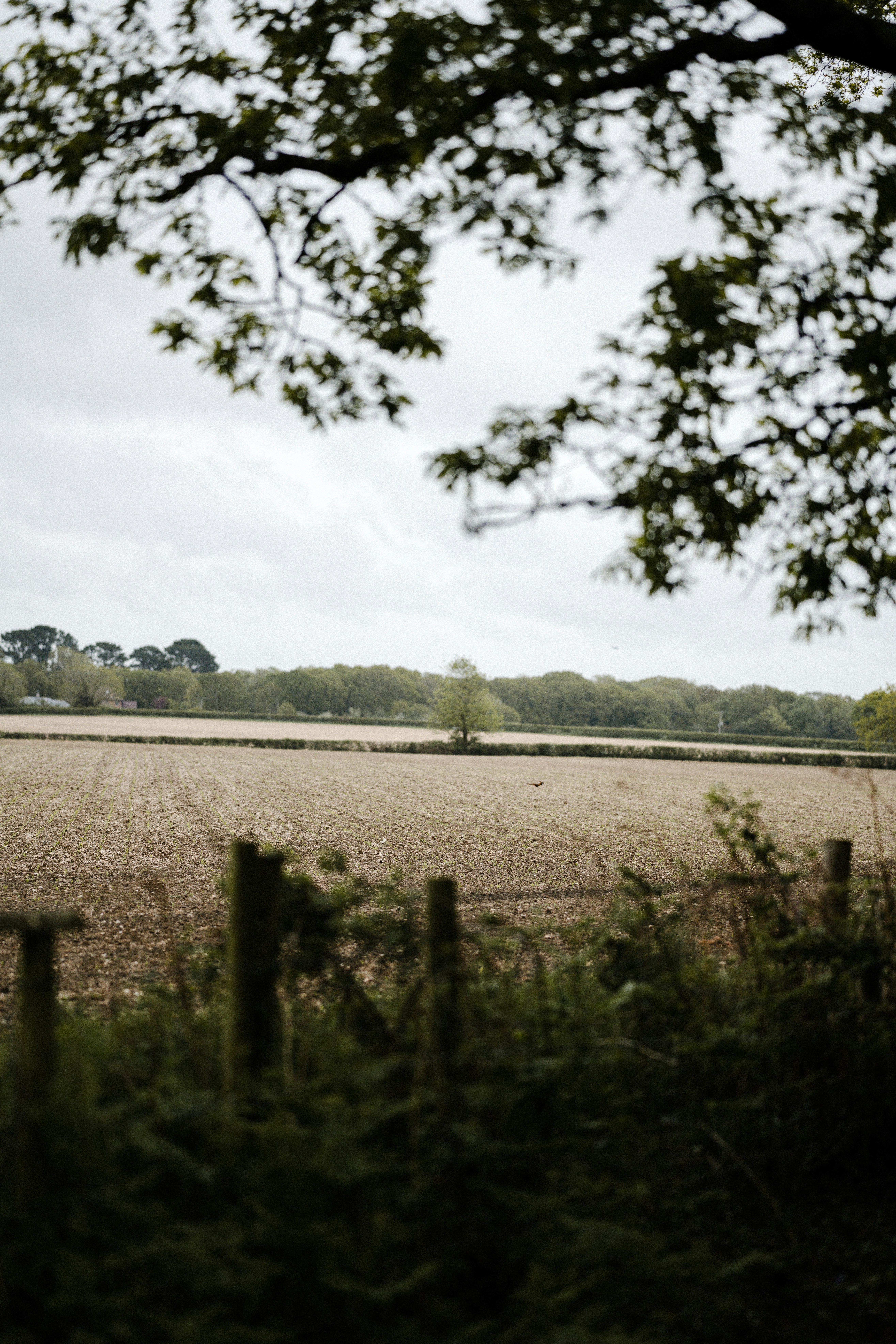 Photo by anniespratt