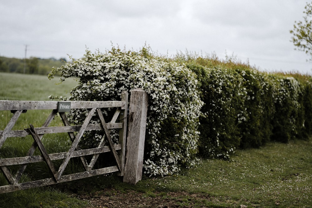 brown wooden fence near green grass field during daytime