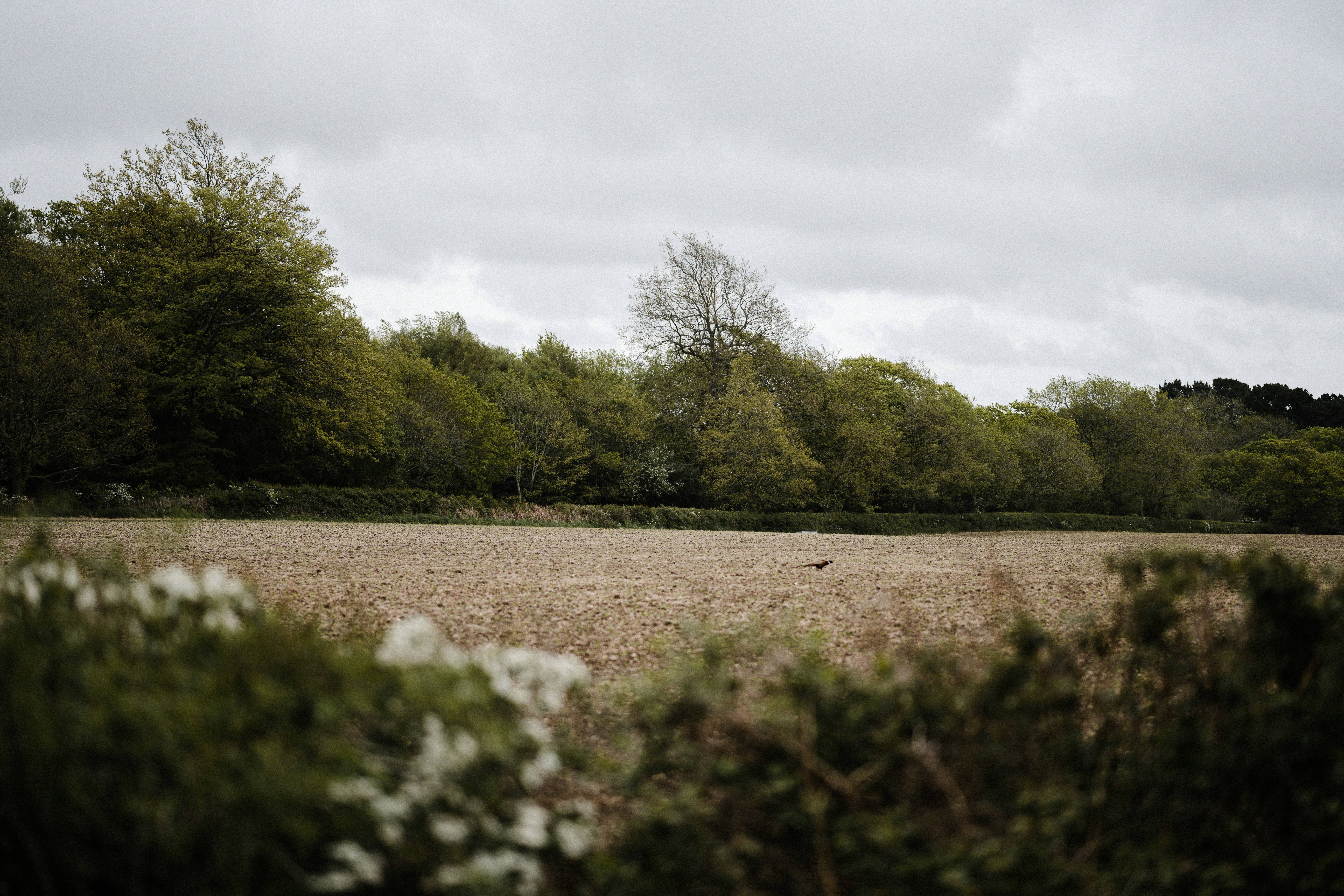 Photo by anniespratt