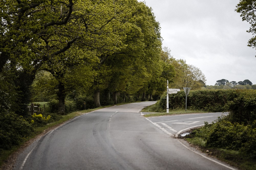 gray concrete road between green trees under white sky during daytime