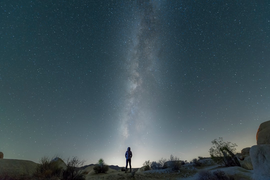 man standing on brown field under blue sky during night time