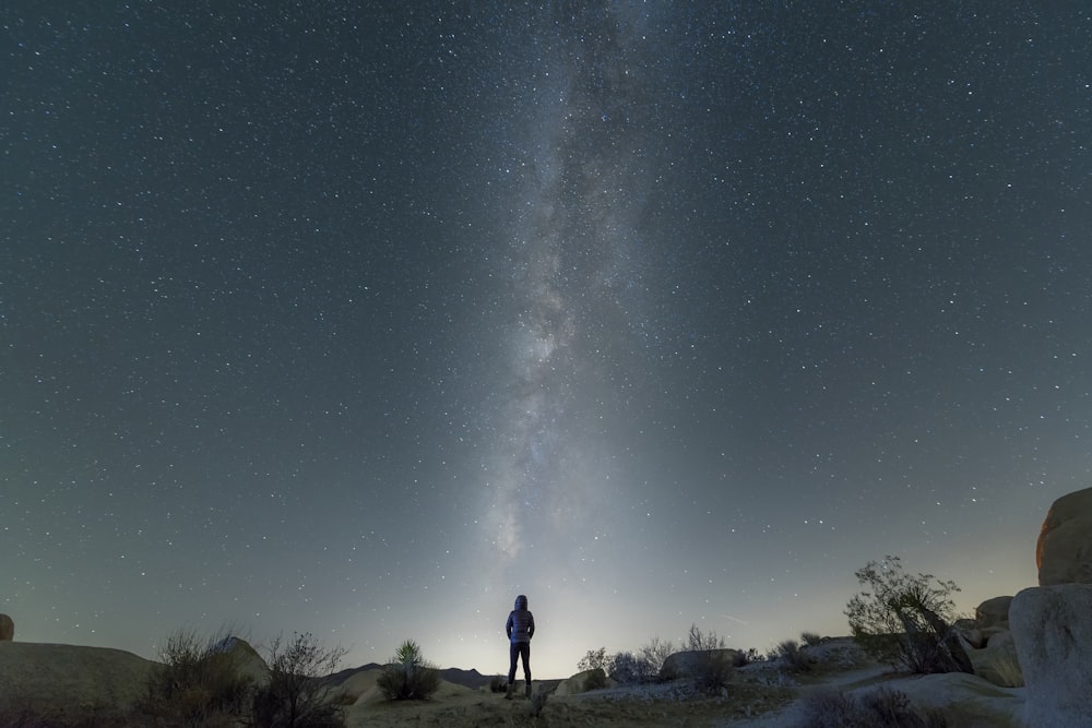 man standing on brown field under blue sky during night time