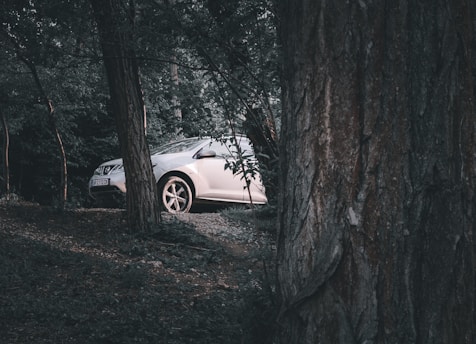 A white car is partially concealed among trees in a dense forest setting. The ground is covered with leaves and the scene is shadowed, creating a mysterious and secluded atmosphere.