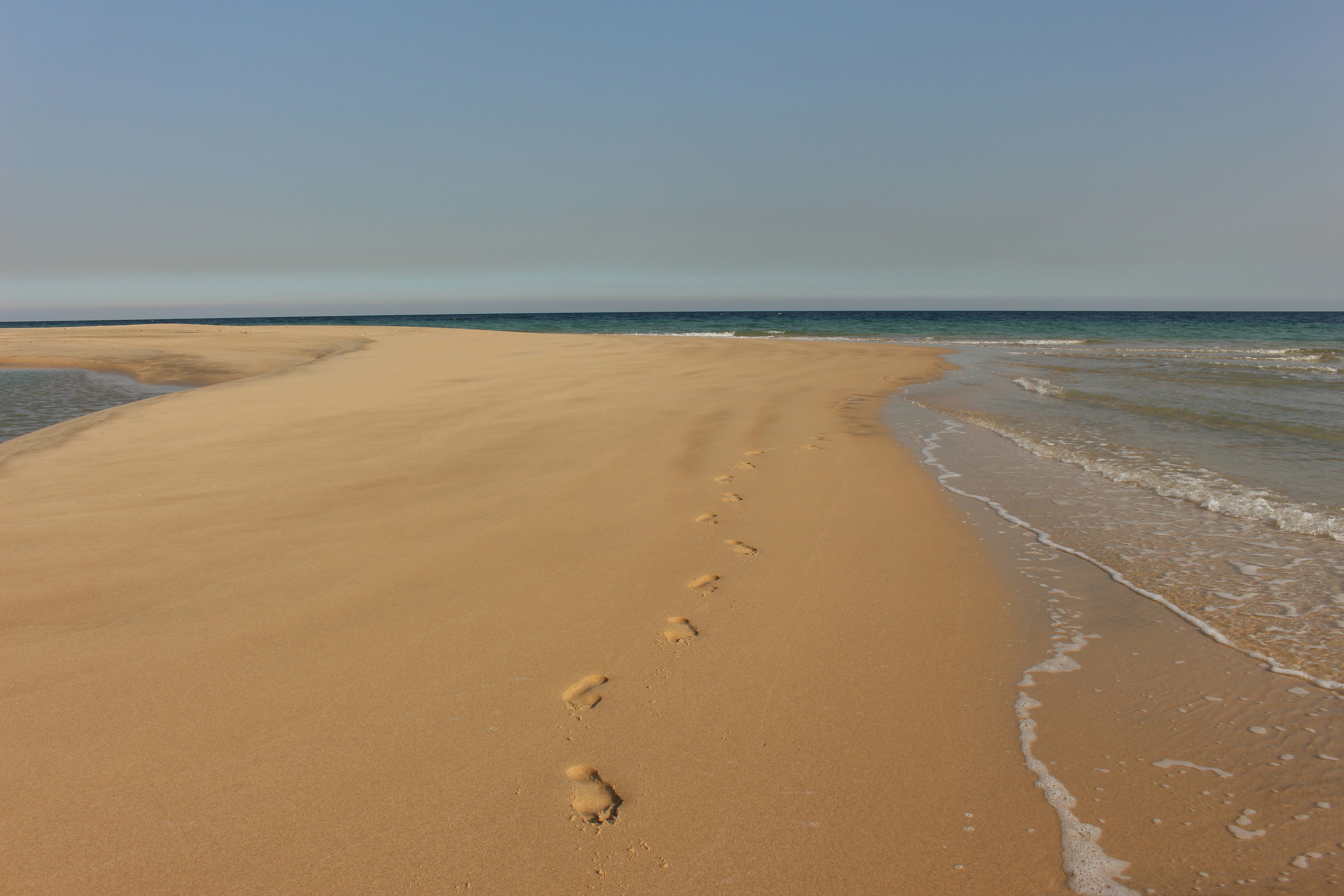 brown sand near body of water during daytime