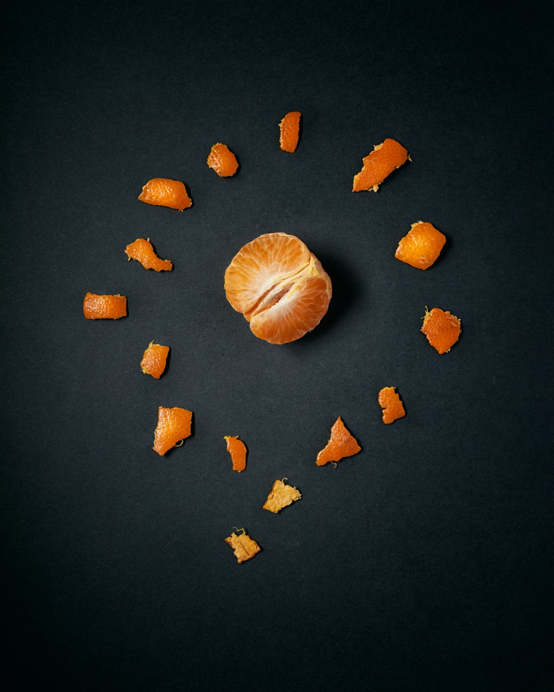 brown and white seashell on black surface