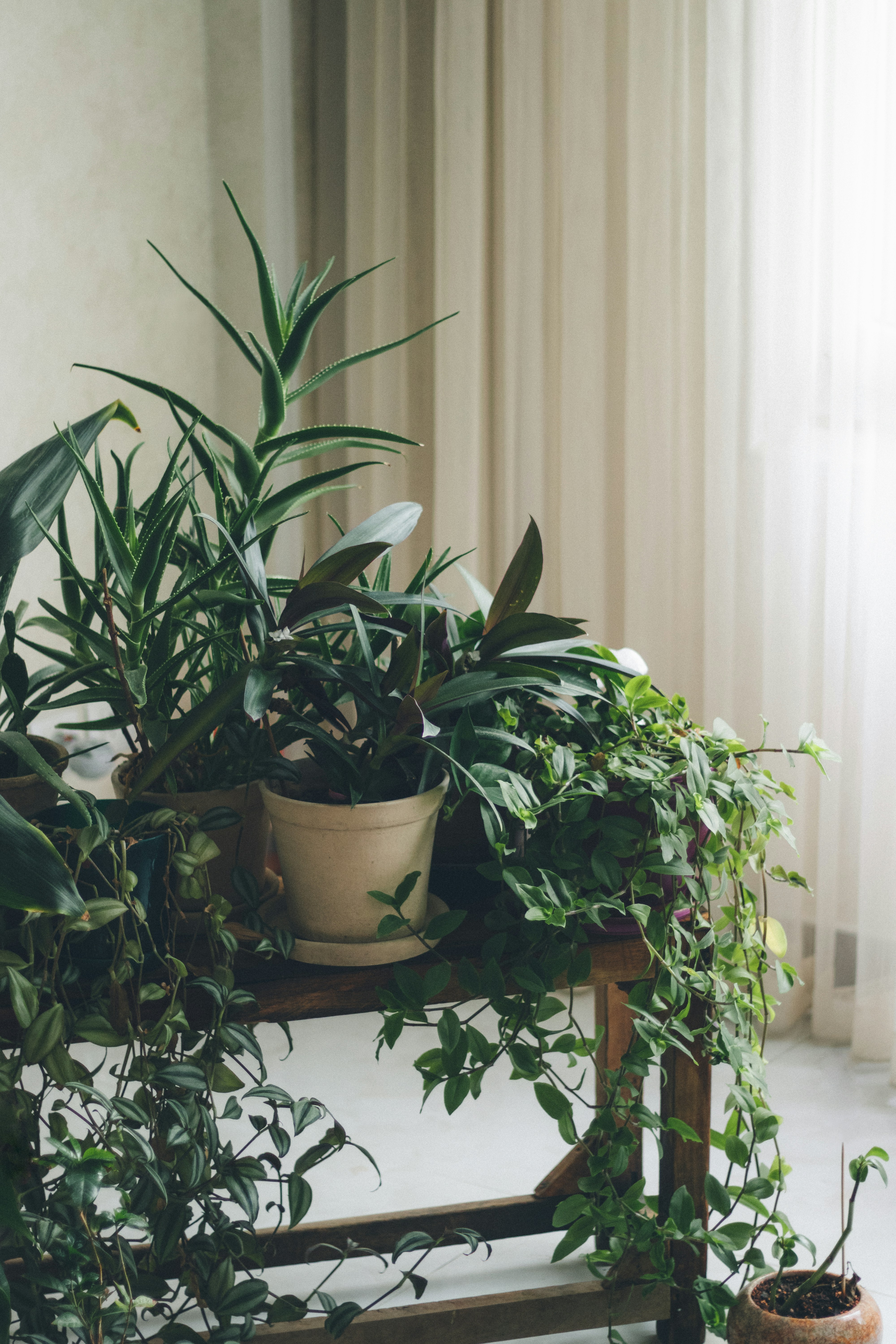 Photo by behy_studio