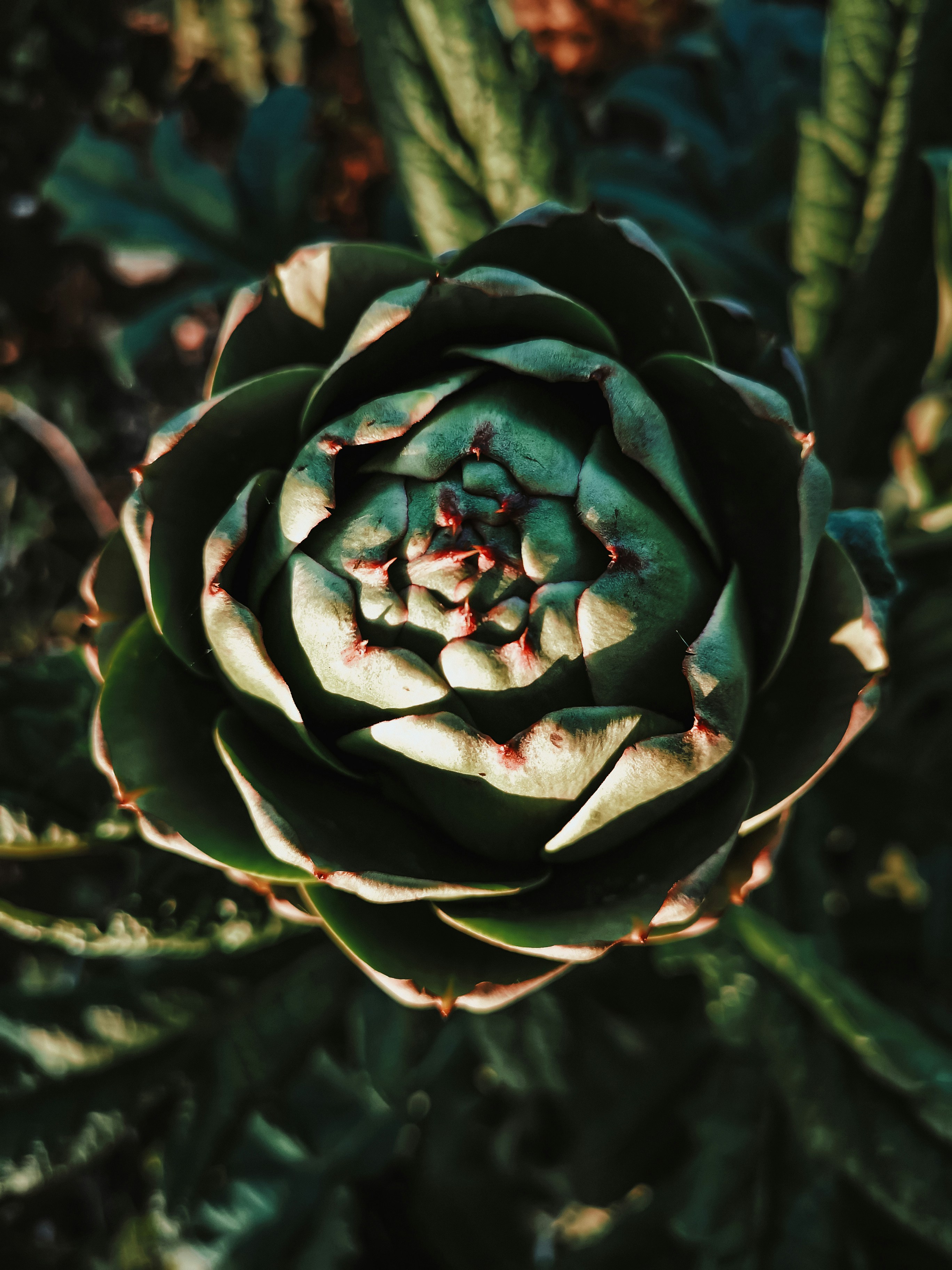 7 Ways A Local Locksmith Company Lies To You Everyday