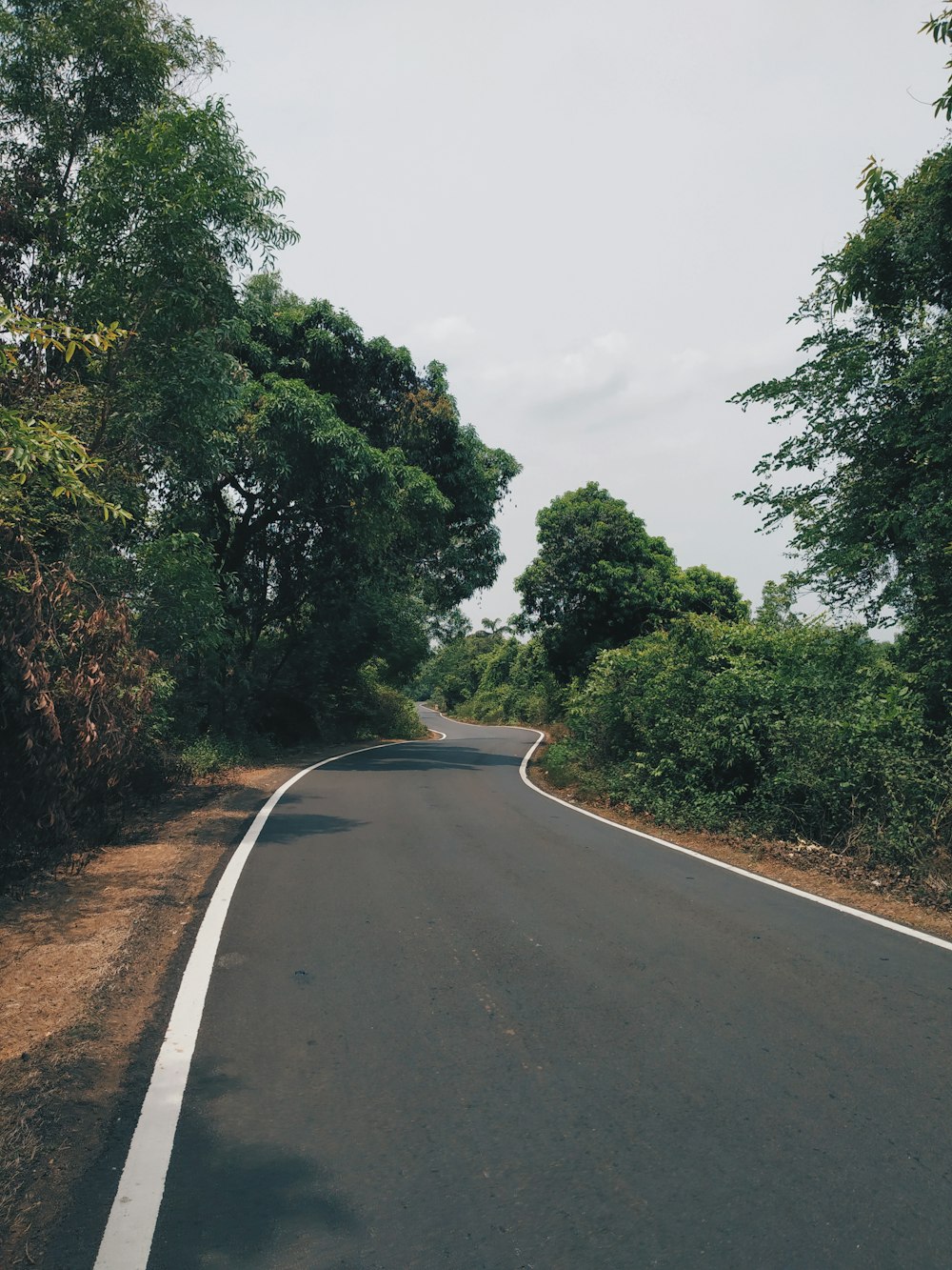 gray concrete road between green trees during daytime