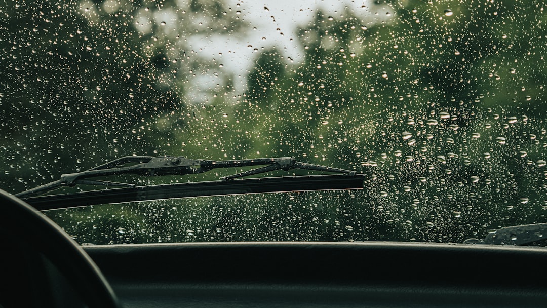 water droplets on car windshield