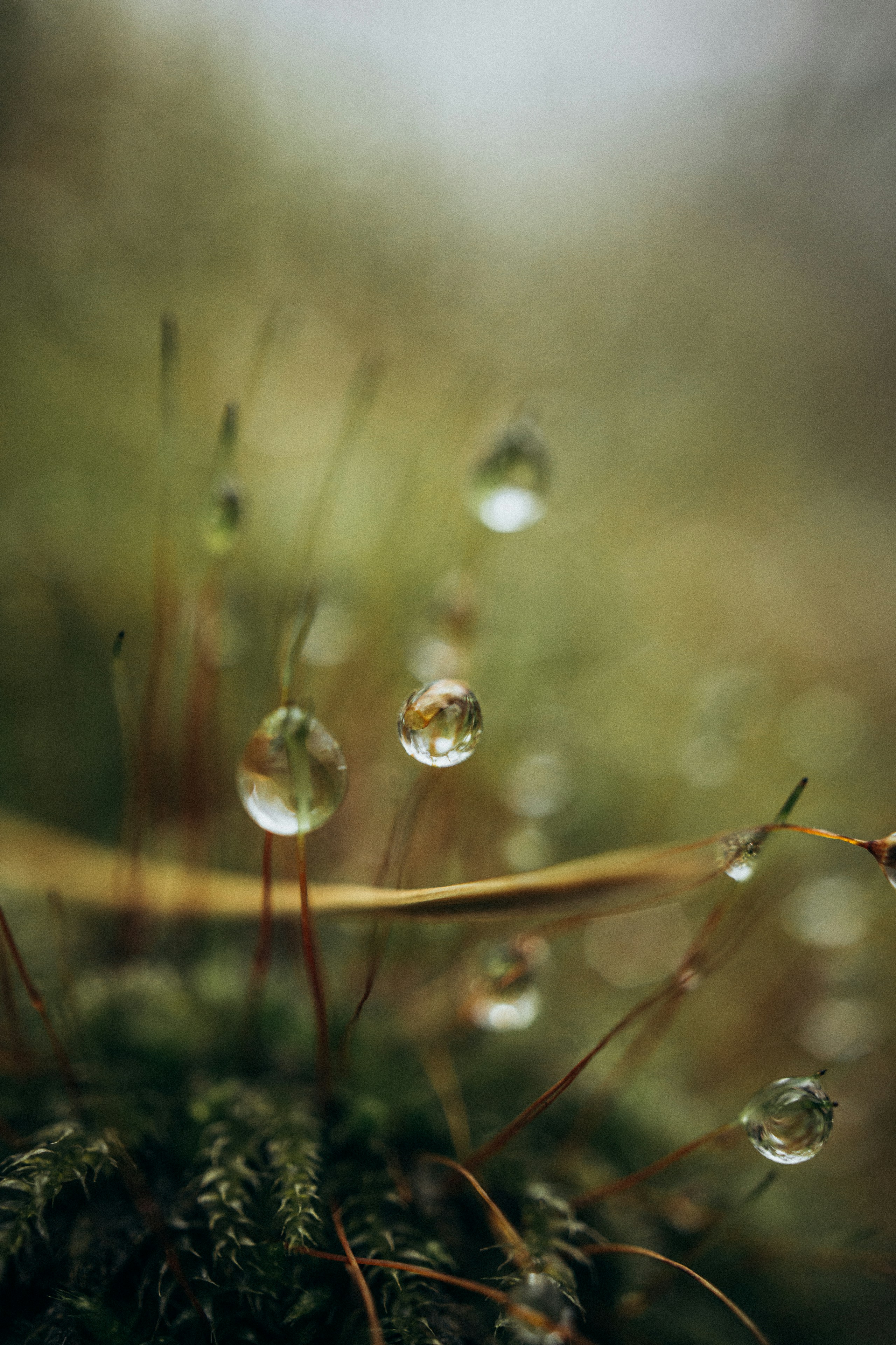 Move With Confidence With Reliable Professional Movers from Boston MA to Chicago Illinois