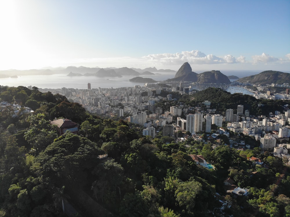 aerial view of city during daytime