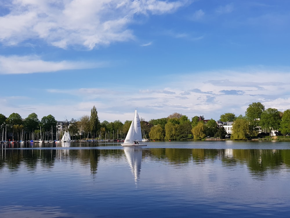 white sailboat on lake under blue sky during daytime