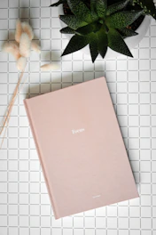 pink folder with green leaves