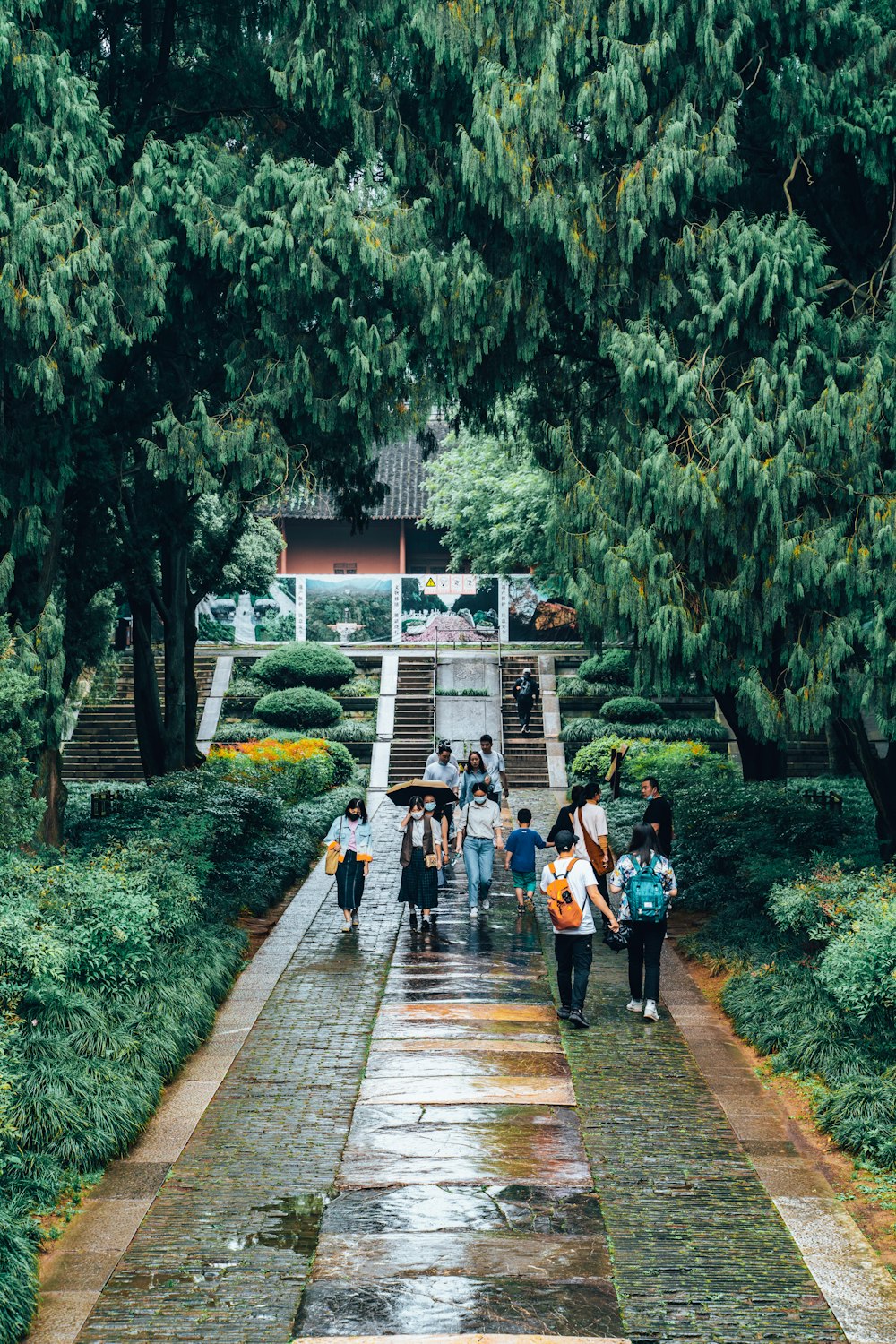 people walking on wooden pathway during daytime