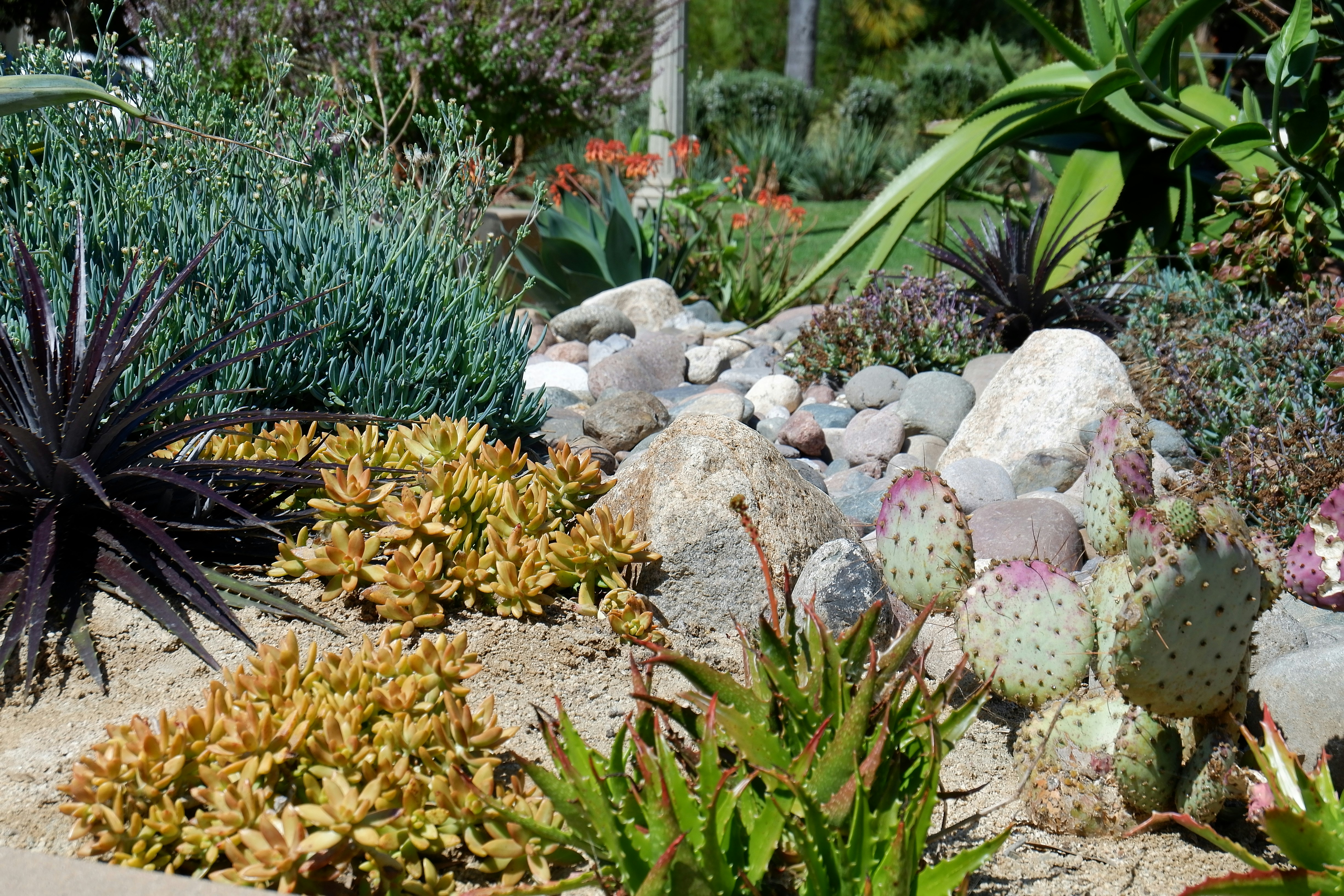 Diverse selection of landscaping stones at a garden center