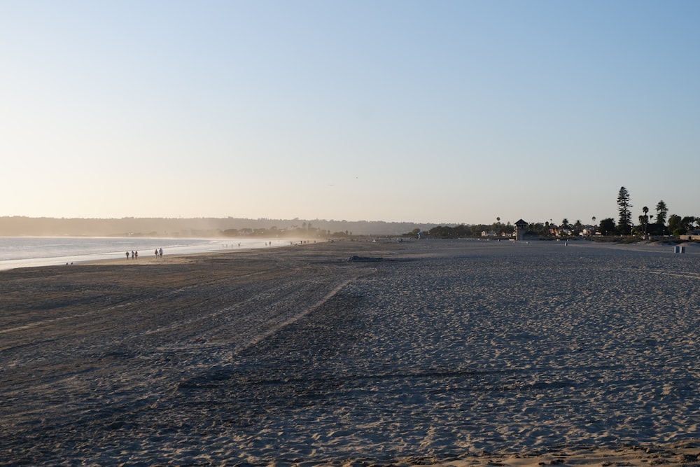 white sand beach during daytime