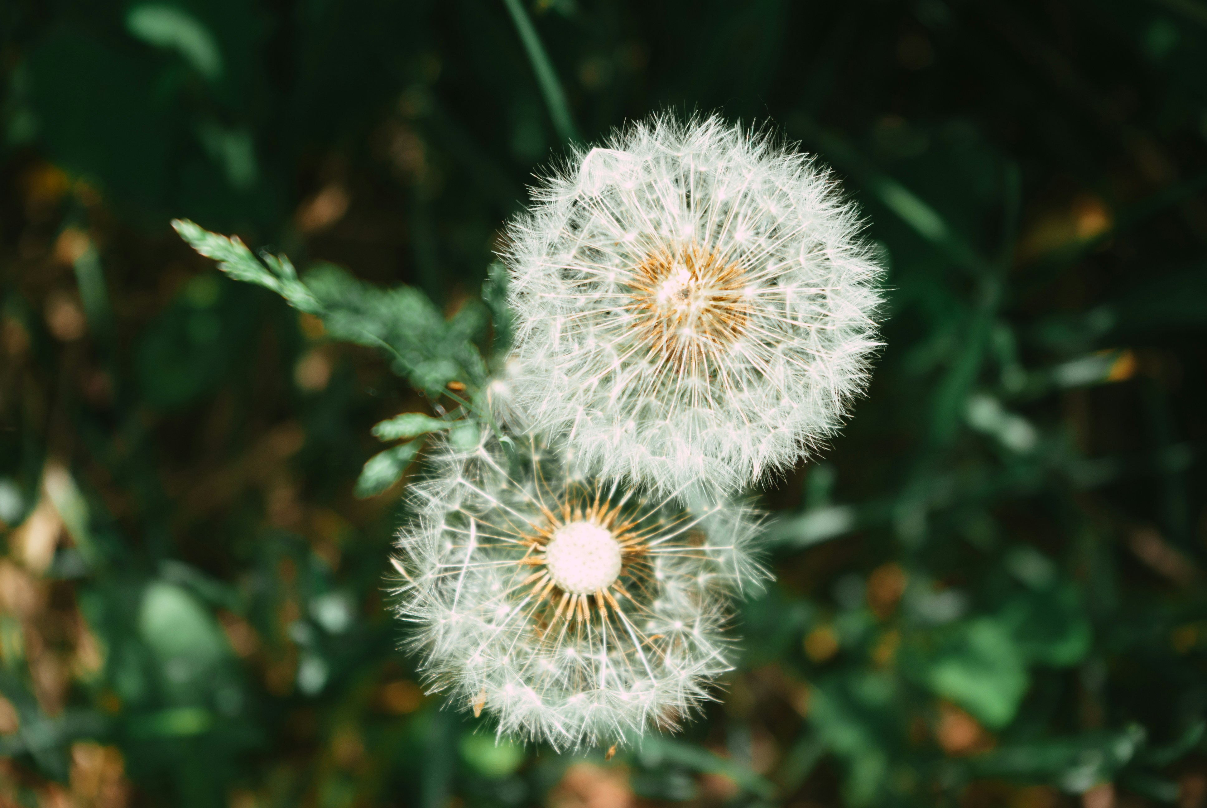 Photo by moonmoons_days