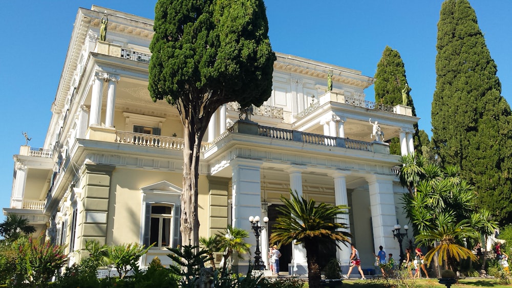 albero verde davanti all'edificio in cemento bianco