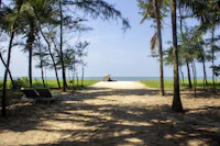 Best Walking Paths and Streets in Alappuzha to Explore on Foot