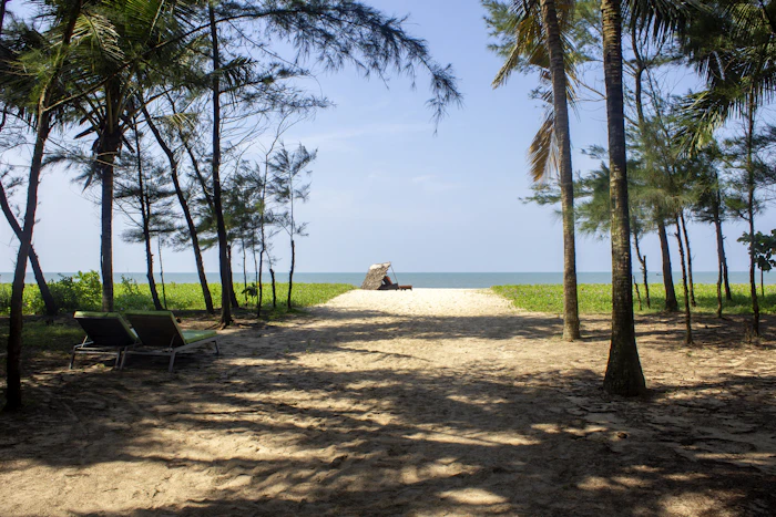 Walking Paths